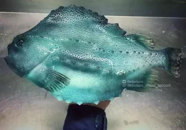 俄罗斯渔夫专拍深海古怪生物:这些鱼都丑得吓人,三只眼的见过吗?