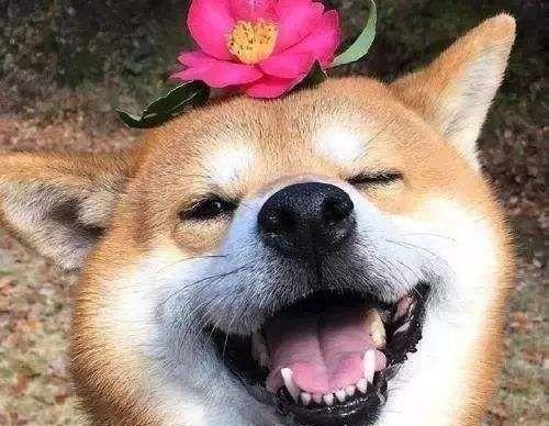妖尾完结祭，这些人的感动瞬间你还记得吗？