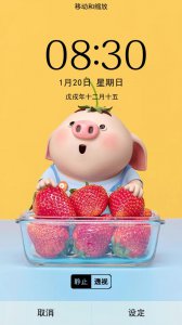 ​可爱的猪小屁壁纸