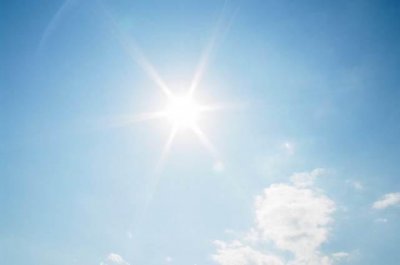 ​“野外迷路不用怕”大自然的10种天然的指南针！