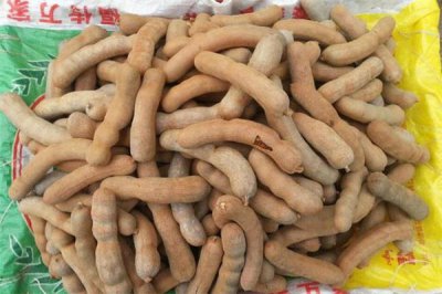 ​吃酸角能预防癌症吗 酸角能防辐射吗