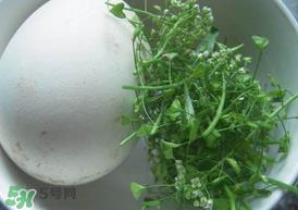荠菜煮鹅蛋治高血压吗？荠菜煮鹅蛋的功效