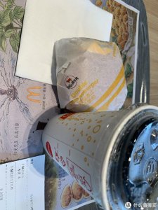 ​吃了好多年的麦当劳双层吉士汉堡