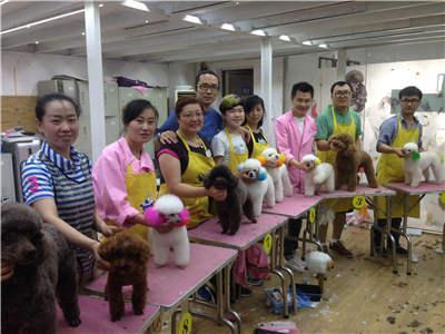 宠物美容师就业前景是怎样的