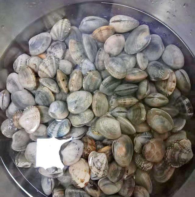 洗花甲别再用焯水浸泡了！学会这招，花甲吐沙又快又干净，很实用