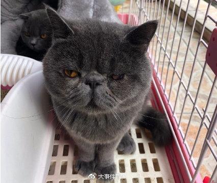 神秘嘉宾做客大事件，上分只需掌握这一点！
