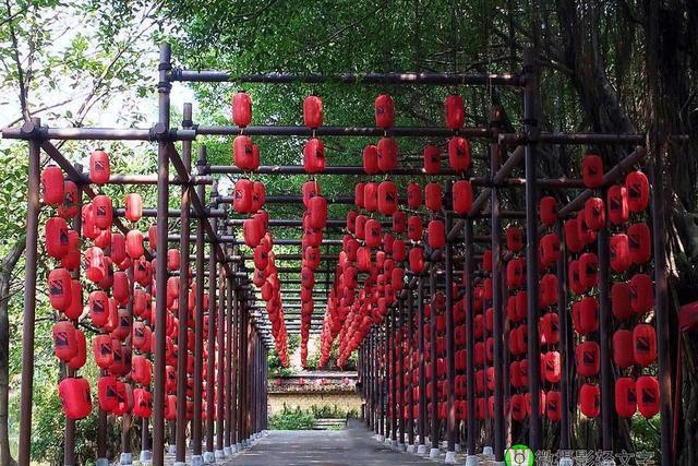 广州市番禺区茂德公草堂游记