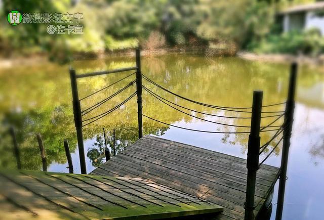 广州市番禺区茂德公草堂游记