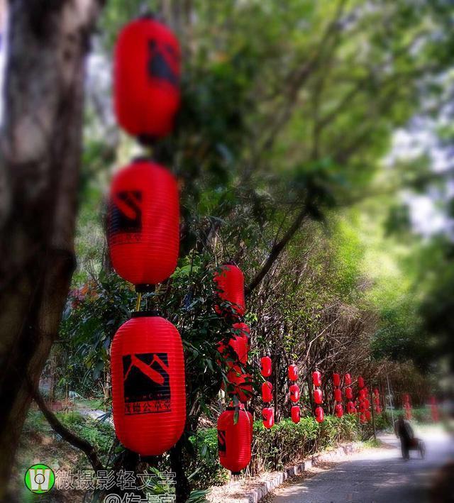 广州市番禺区茂德公草堂游记