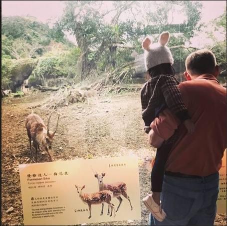 周杰伦女儿长高了，完全遗传妈妈昆凌的大长腿