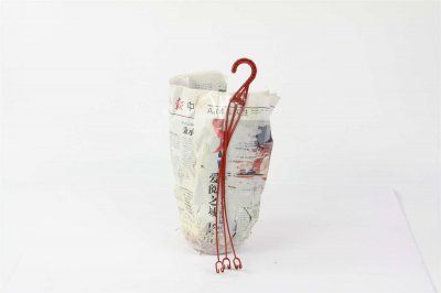 ​百万小铃的养殖方法和注意事项