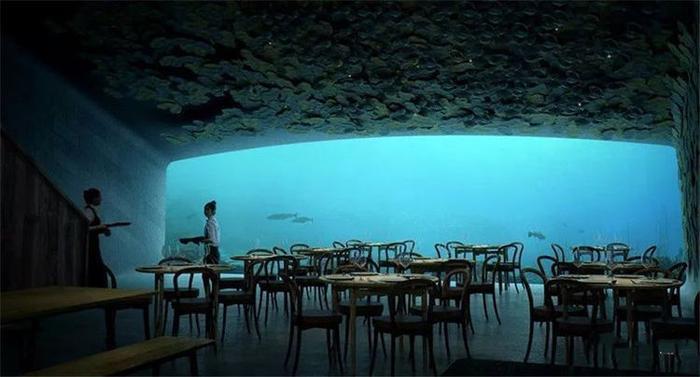就餐观景两不误，超级酷的海底餐厅