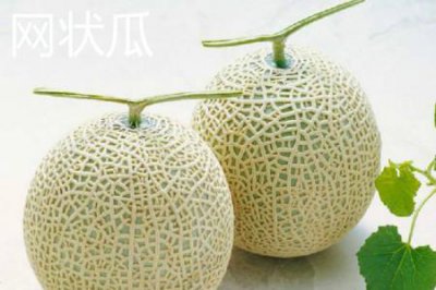 ​网纹瓜和哈密瓜的区别