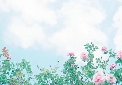 ​慈禧太后太后陵墓 慈禧太后太后陵墓在哪个地方