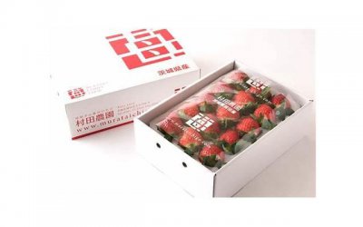 ​在丈夫的手机里，发现他和别的女人亲腻聊天的记录
