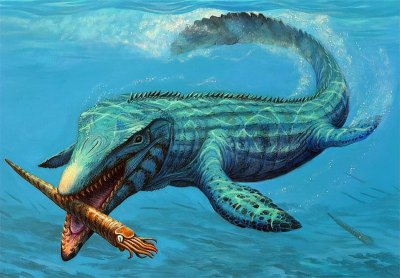 ​大海蛇真的存在？传说全身无鳞片，有3米粗20米长，宛如“水怪”