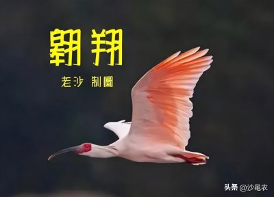​股市早8点丨那两条“利好”都不靠谱