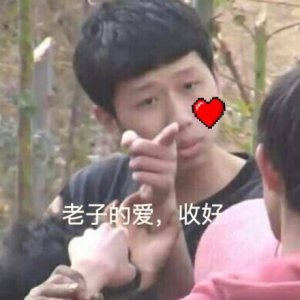 ​王境泽指人表情包合集｜你再说一遍