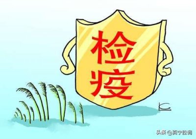 ​监督检验检疫检测类事业单位不同的改革方向和人员安置途径