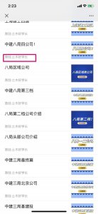 ​中铁大桥局待遇分享