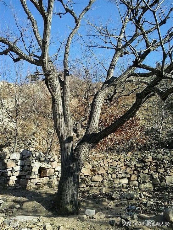 实地探访野长城，上山道路都是土路，破损的长城充满历史的沧桑感
