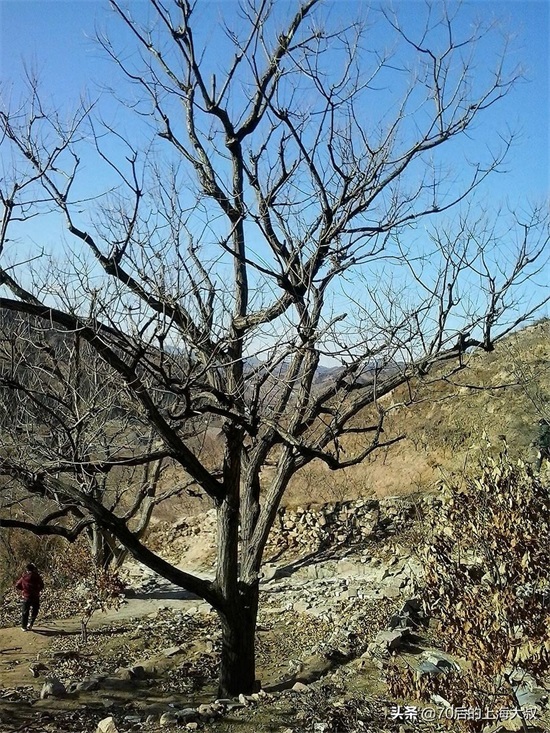 实地探访野长城，上山道路都是土路，破损的长城充满历史的沧桑感