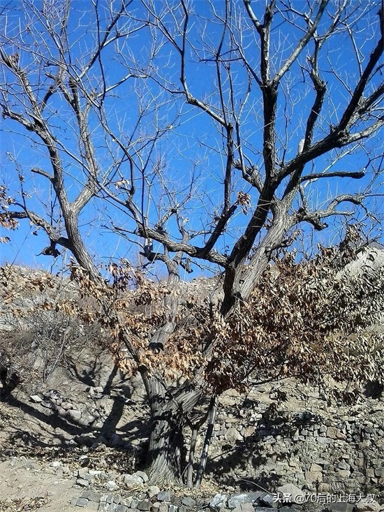 实地探访野长城，上山道路都是土路，破损的长城充满历史的沧桑感