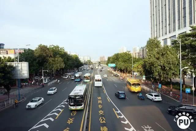 这座800年的棠下村，是无数年轻人踏足广州的第一个“家”！