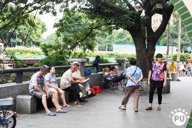 这座800年的棠下村，是无数年轻人踏足广州的第一个“家”！