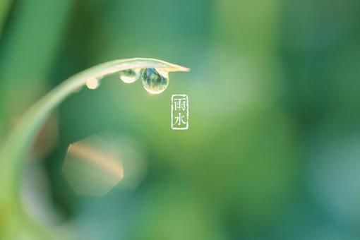 雨水节气介绍