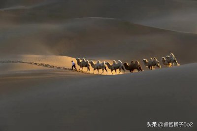 ​人为什么会活得这么累？
