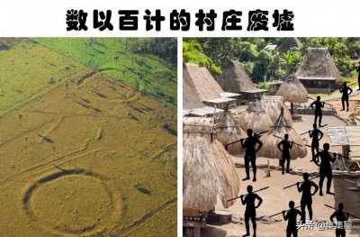 ​隐藏在亚马逊雨林中的8件神奇的事物