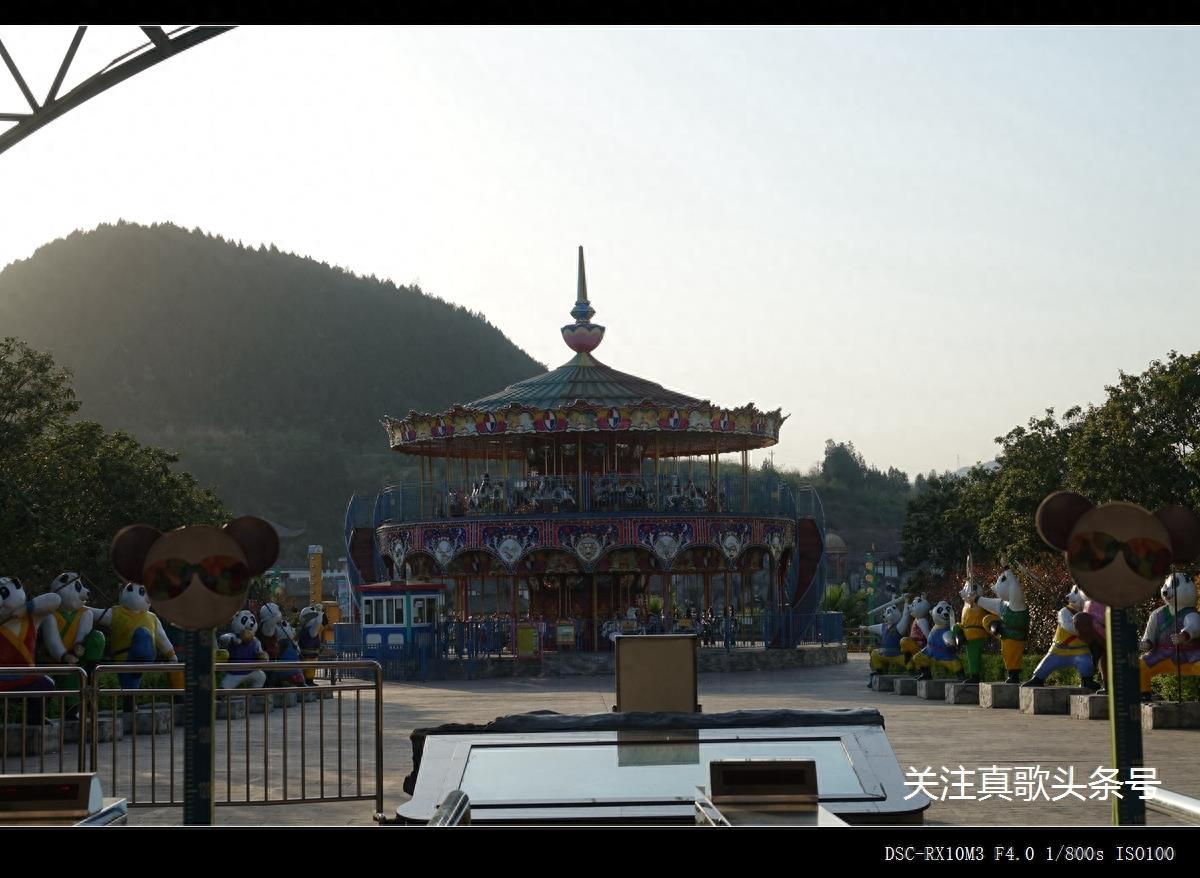 南充阆中熊猫乐园 曾经120元一人的门票 现在免费了