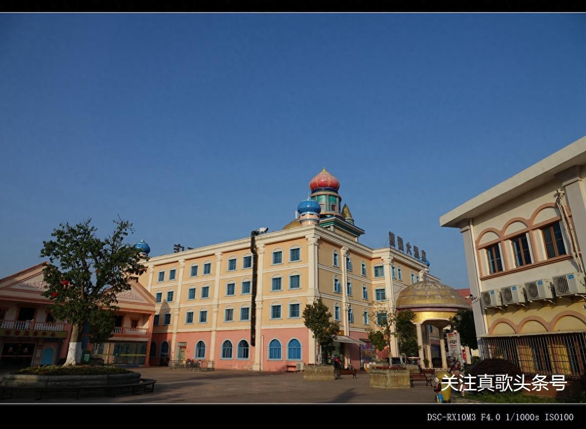 南充阆中熊猫乐园 曾经120元一人的门票 现在免费了