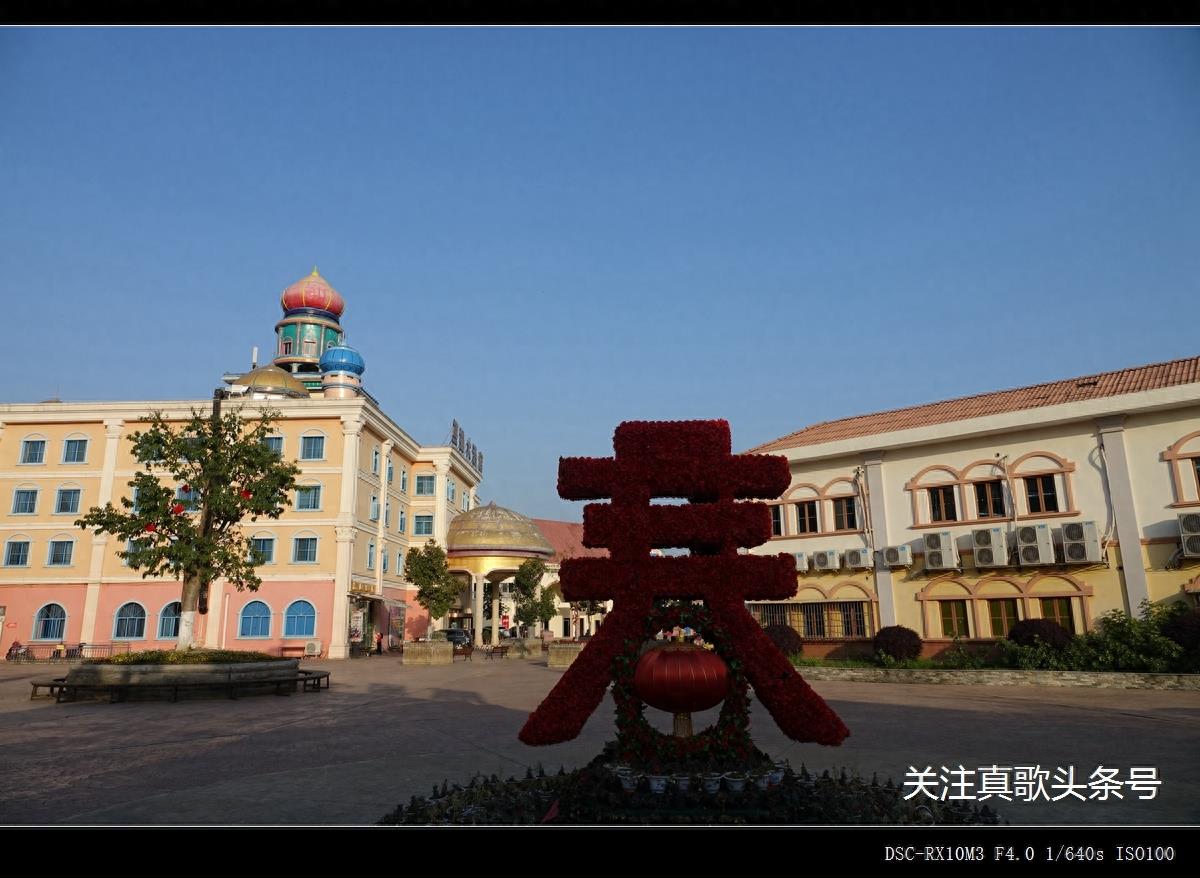 南充阆中熊猫乐园 曾经120元一人的门票 现在免费了