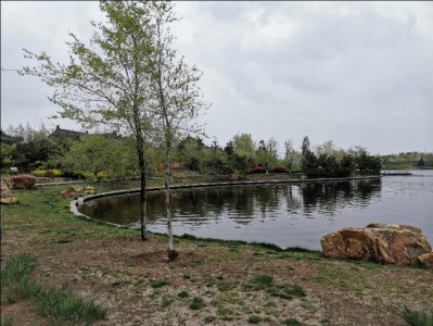 ​山东少海湿地公园