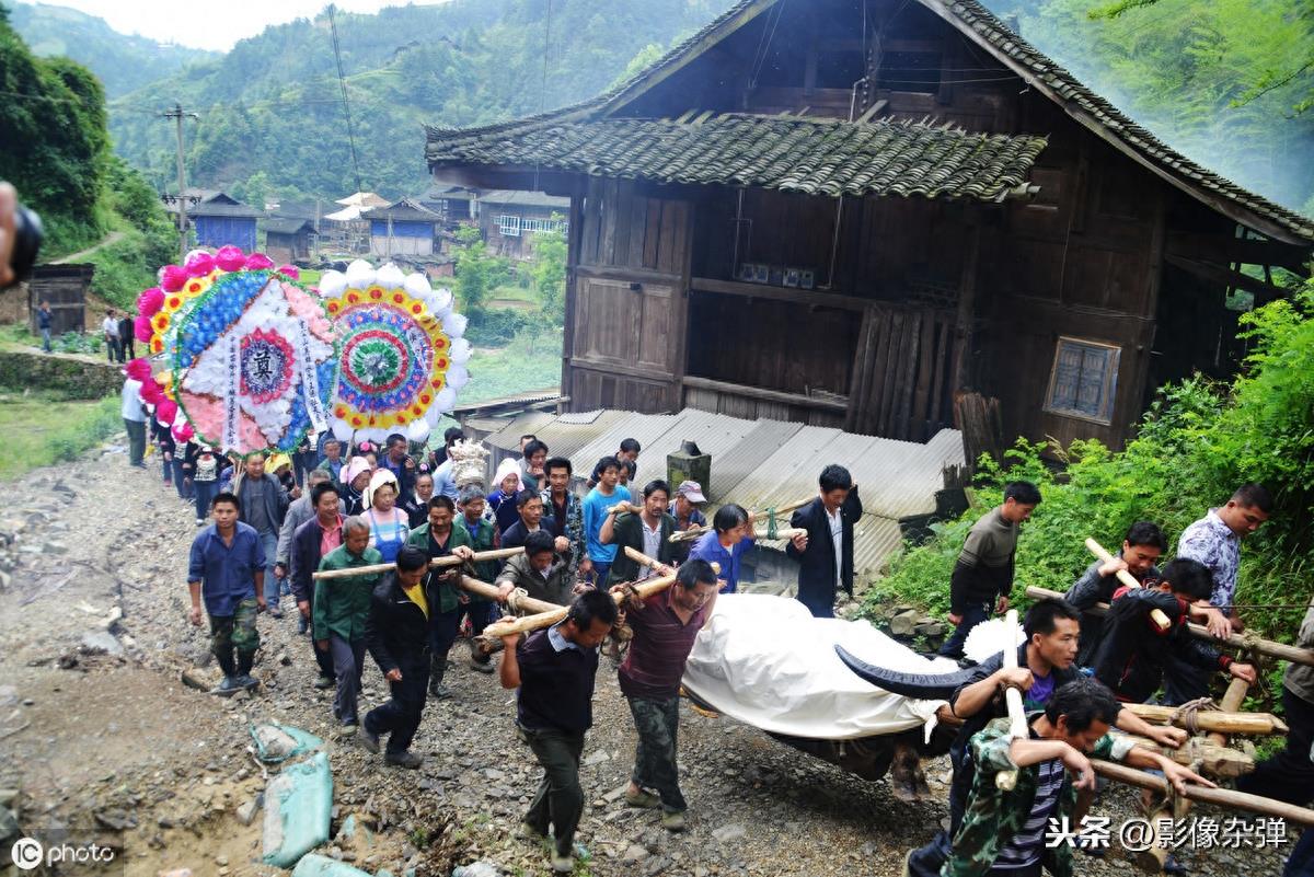 贵州“牛王”获11次称号，帮主人赢得13万奖金，死后百人送行