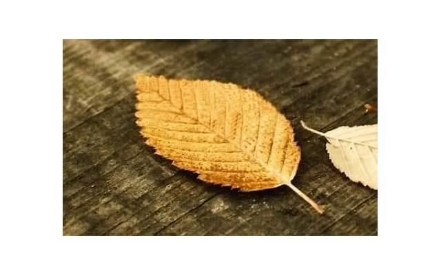 分手了怎么挽回伤心的男朋友