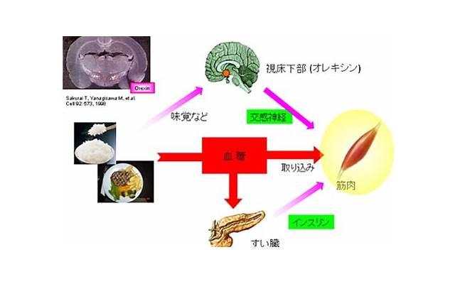  家暴、冷漠、分居的婚姻该何去何从
