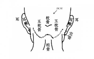 ​你存在我深深的脑海里是什么歌曲