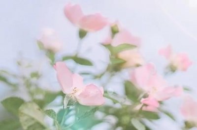 ​本来鬼都是想保护你 本来鬼都是想保护你对吗？