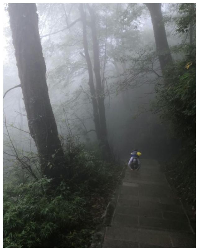 峨眉山偶遇圣空法师！看了好心痛！｜圣空法师朝礼峨眉山第三天