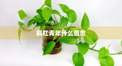 ​斜杠青年什么意思