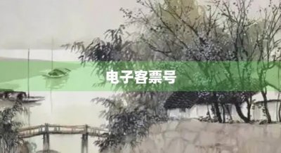 ​电子客票号(什么是电子客票)