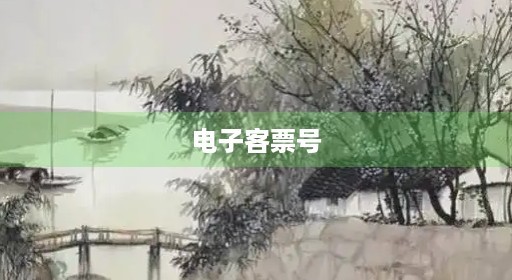 电子客票号