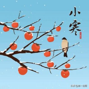 ​清炖羊肉的做法及配料(清炖羊肉的做法 最正宗的做法)
