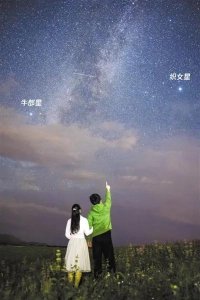 ​天上的星星像什么(天上的星星像什么填空)