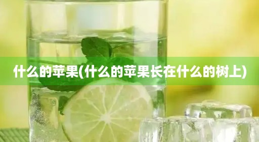 什么的苹果(什么的苹果长在什么的树上)