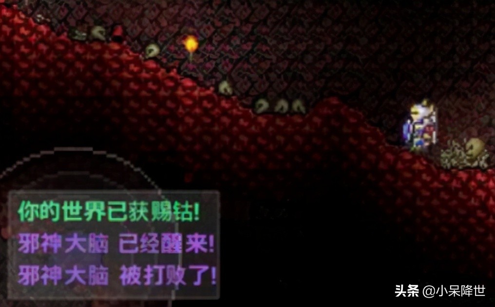 泰拉瑞亚肉山后攻略（分享泰拉瑞亚肉山后主要攻略流程）
