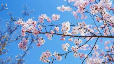 ​宫崎骏经典语录，特别温柔治愈的文案